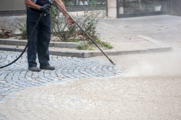 Best Roof Washing  in Benton Park, CA